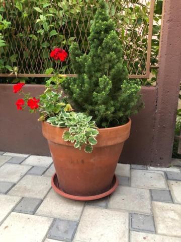 Myhome2 Subotica Bagian luar foto